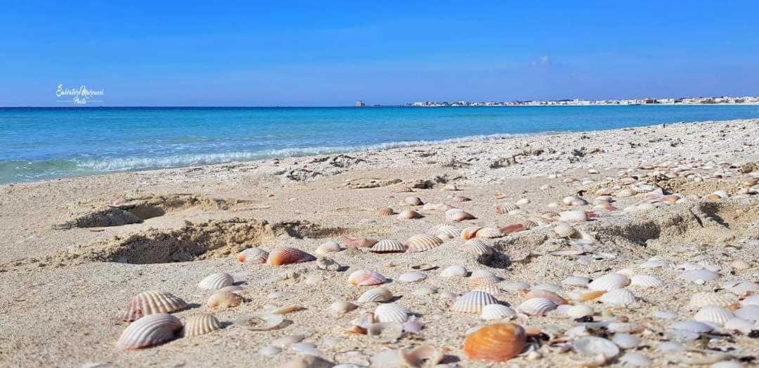 Masseria La Lizza - Ospitalita Rurale レッチェ エクステリア 写真