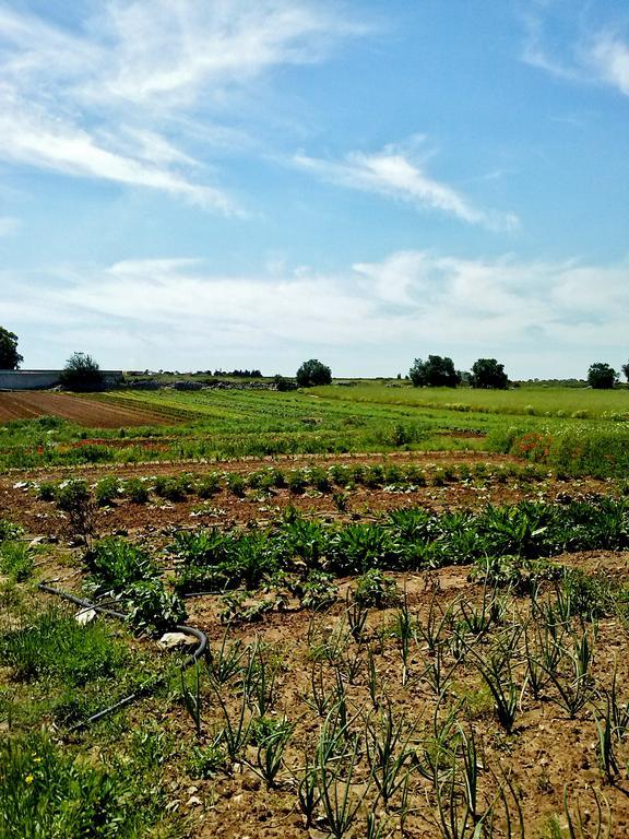 Masseria La Lizza - Ospitalita Rurale レッチェ エクステリア 写真