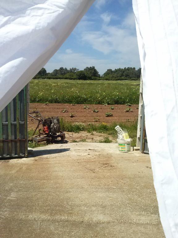 Masseria La Lizza - Ospitalita Rurale レッチェ エクステリア 写真